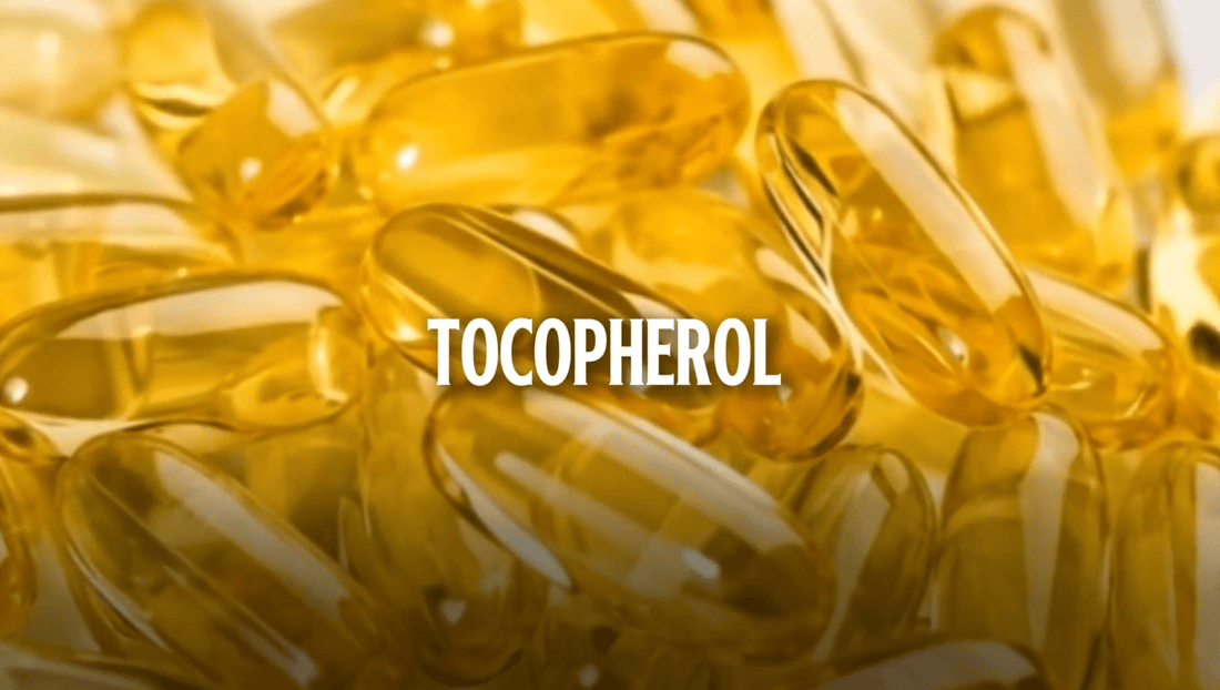 Vitamin E — The Daily Defender for Your Lips - Pouts